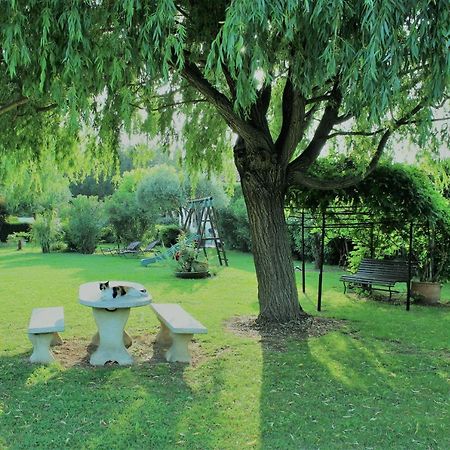 Gites Maisons De Vacances Domaine La Chamade Carpentras Buitenkant foto